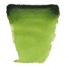 Παστίλιες/Κύβοι Ακουαρέλας Van Gogh pans - 623-sap-green